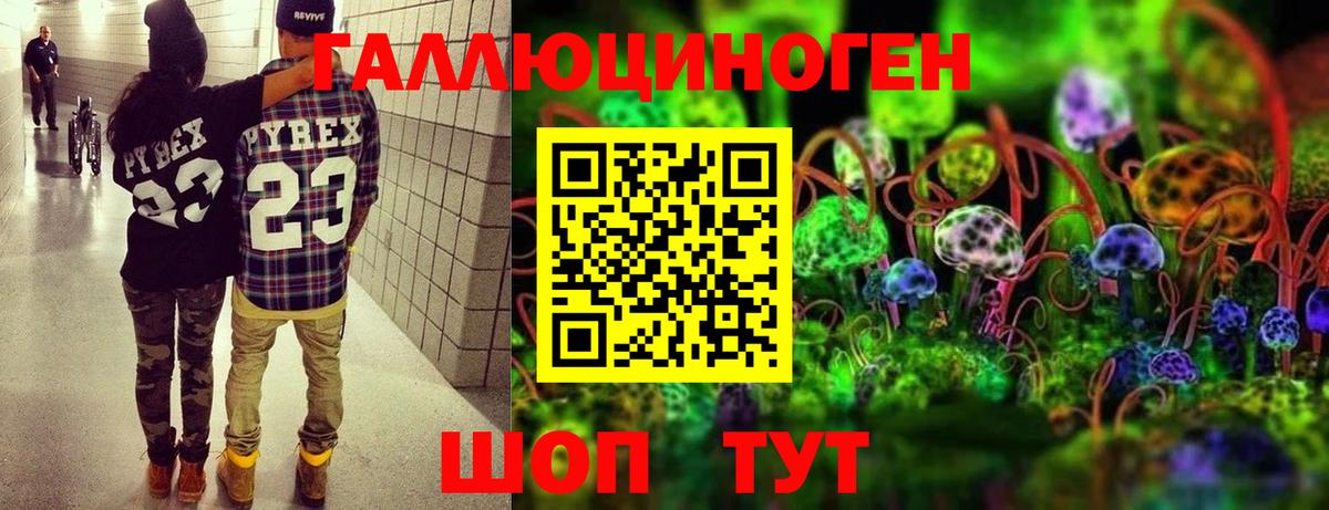 Галлюциногенные грибы GOLDEN TEACHER Электрогорск